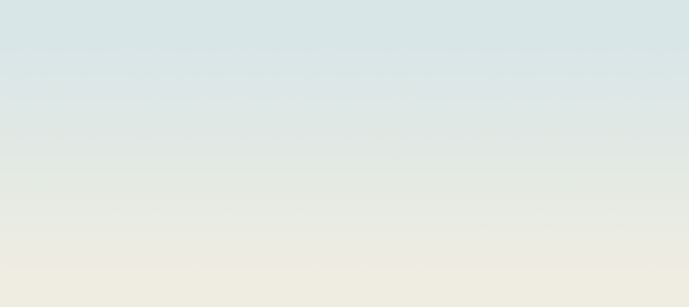 She's Everything Collection